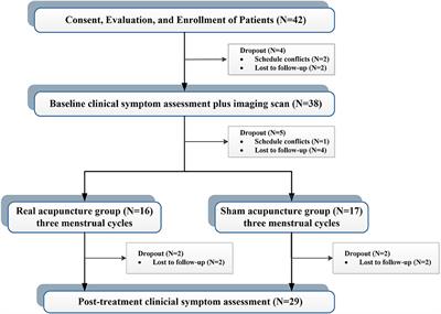 Brain Mechanism of Acupuncture Treatment of Chronic Pain: An Individual-Level Positron Emission Tomography Study